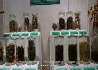 藏医药（藏药珊瑚七十味丸配伍技艺）