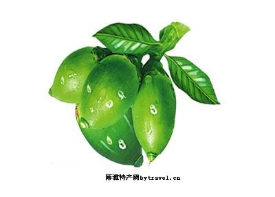 ˫