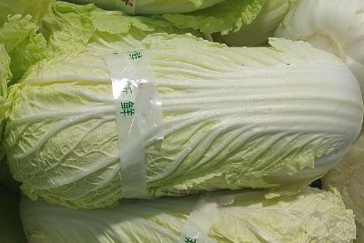 ޹ײ
