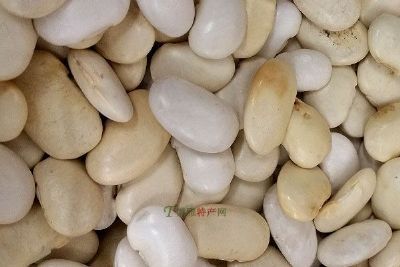 ỳܿ