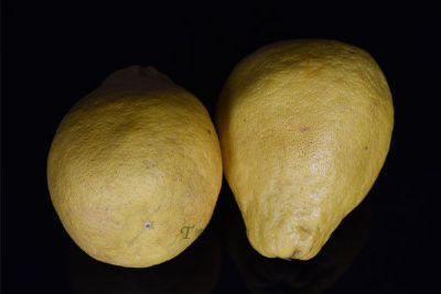 ļ