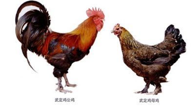 䶨