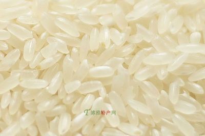 첼