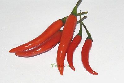 Ӫ