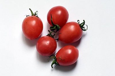 ʥŮ