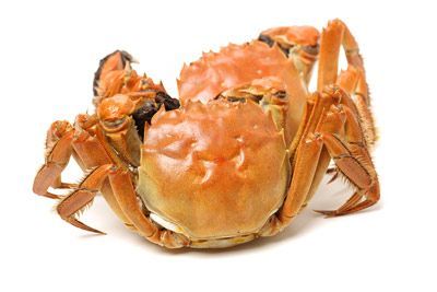 ʤз