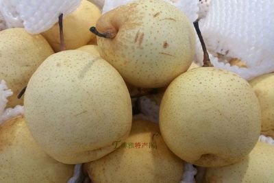 ӱѼ桱