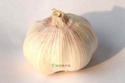 Ƥ