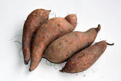 Ͽӽ