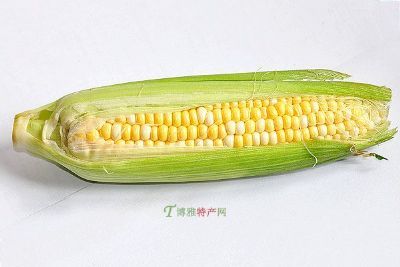 ɽŴ