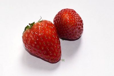 ƴݮ
