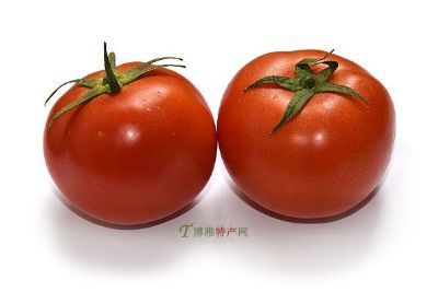 ˴巬