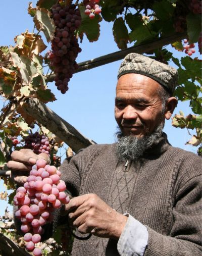 ޺