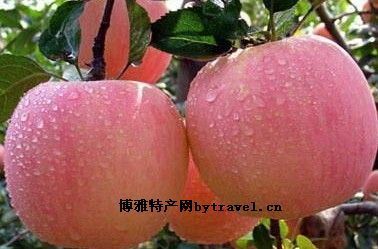 书ƻ