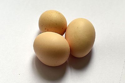 Ƽ