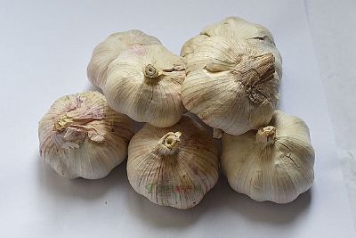 ȫݴ