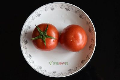 ͭϿ