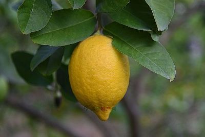 º