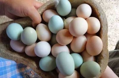 鳤ٴ弦