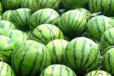 Ӫ