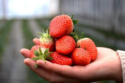 żݮ