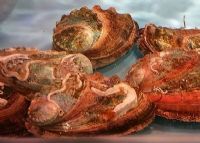 ϰı