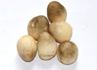 еĢ