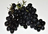 ӹ