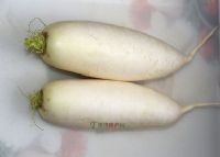 ǰׯܲ