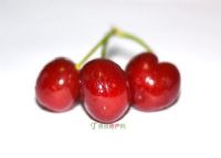 üشӣ