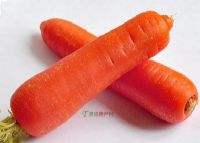 ๵ܲ