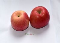 ĺƻ
