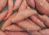 պ