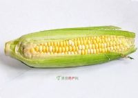 Ŵ