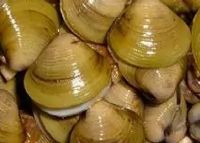 ڰ