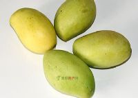 âԴâ