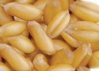 ïСƤС