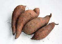 ռ׺