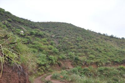 大坪战斗遗址