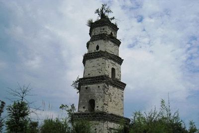 ް