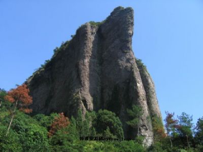 侷羰ʤ