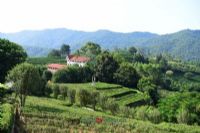 ѿĻԷ