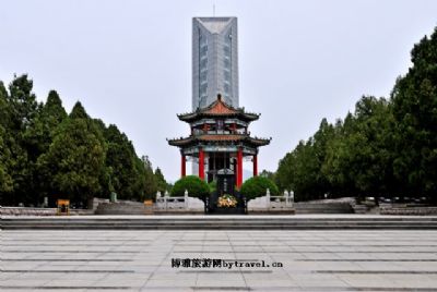 ξ