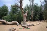八仙洞