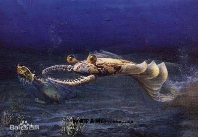 ϳνʯȺ