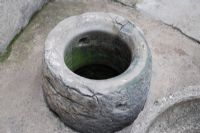 þ