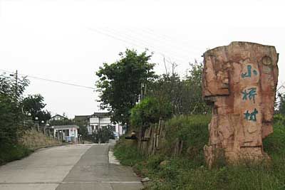 СŴ徰