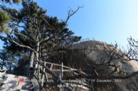 黎山