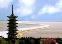 Ǯ