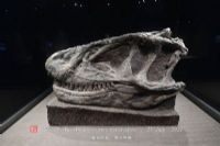 ʯ